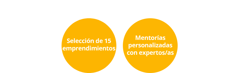 fase 2