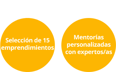fase 2